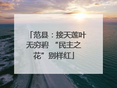范县：接天莲叶无穷碧 “民主之花”别样红